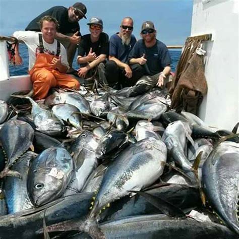 thunderbird sportfishing|newport beach sport fishing charters.